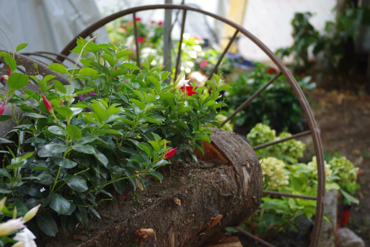 Bed and Breakfast Fico Bologna 453 Trebbo Di Reno Zewnętrze zdjęcie